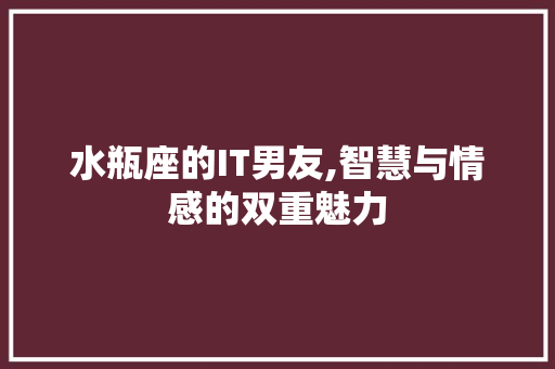 水瓶座的IT男友,智慧与情感的双重魅力 百度SEO