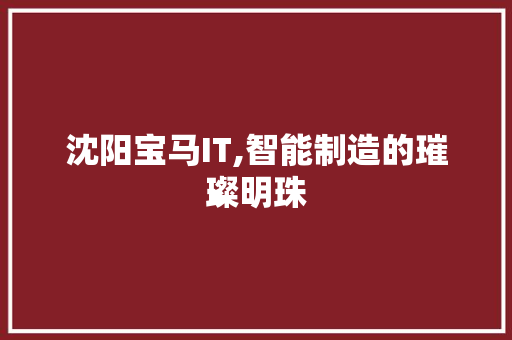 沈阳宝马IT,智能制造的璀璨明珠