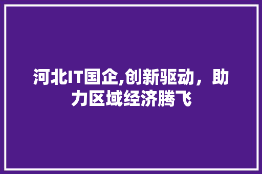 河北IT国企,创新驱动，助力区域经济腾飞
