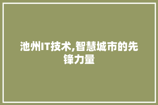 池州IT技术,智慧城市的先锋力量