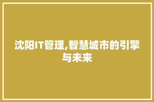 沈阳IT管理,智慧城市的引擎与未来