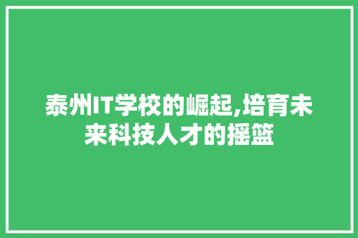 泰州IT学校的崛起,培育未来科技人才的摇篮