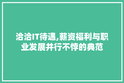 洽洽IT待遇,薪资福利与职业发展并行不悖的典范 SEO关键词