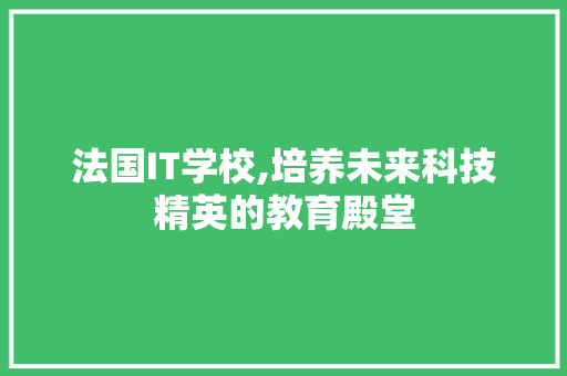 法国IT学校,培养未来科技精英的教育殿堂