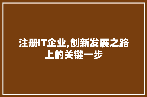 注册IT企业,创新发展之路上的关键一步