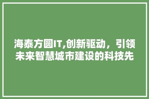 海泰方圆IT,创新驱动，引领未来智慧城市建设的科技先锋