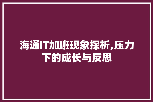 海通IT加班现象探析,压力下的成长与反思