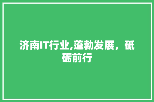 济南IT行业,蓬勃发展，砥砺前行