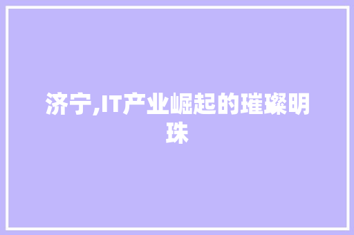 济宁,IT产业崛起的璀璨明珠