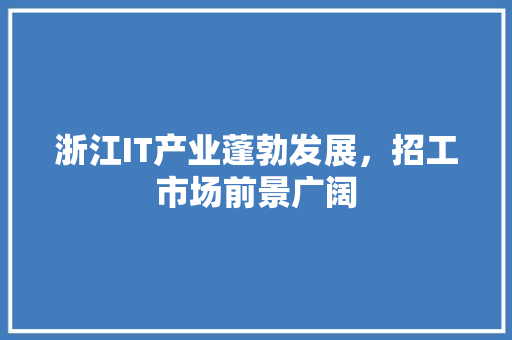浙江IT产业蓬勃发展，招工市场前景广阔