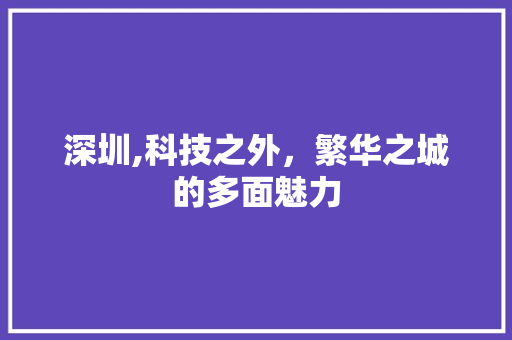 深圳,科技之外，繁华之城的多面魅力