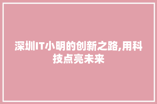 深圳IT小明的创新之路,用科技点亮未来 必应SEO
