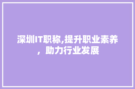 深圳IT职称,提升职业素养，助力行业发展