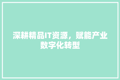 深耕精品IT资源，赋能产业数字化转型 百度SEO