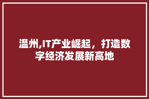 温州,IT产业崛起，打造数字经济发展新高地