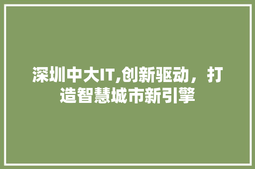 深圳中大IT,创新驱动，打造智慧城市新引擎