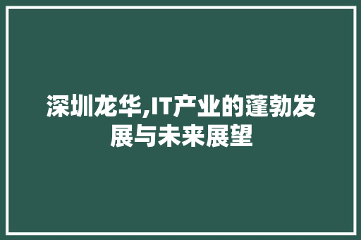 深圳龙华,IT产业的蓬勃发展与未来展望 SEO关键词
