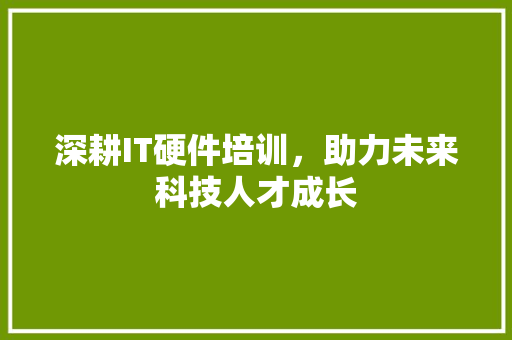 深耕IT硬件培训，助力未来科技人才成长 网站建设公司