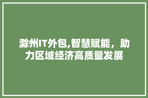 滁州IT外包,智慧赋能，助力区域经济高质量发展