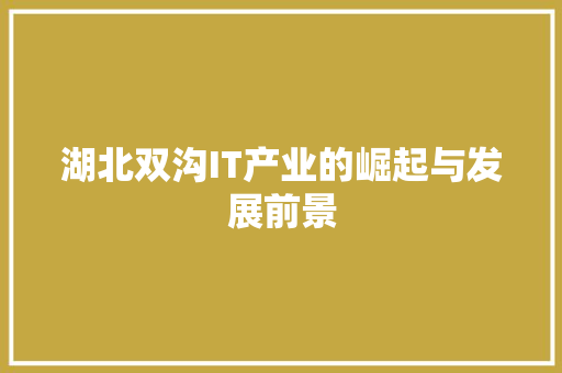 湖北双沟IT产业的崛起与发展前景