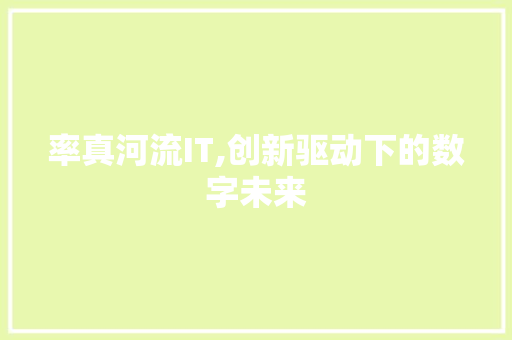 率真河流IT,创新驱动下的数字未来