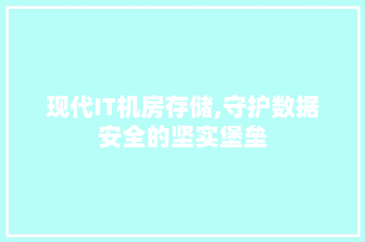 现代IT机房存储,守护数据安全的坚实堡垒