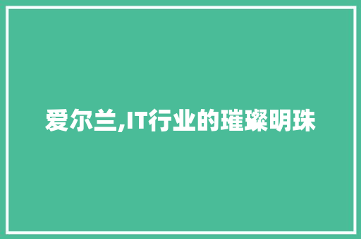 爱尔兰,IT行业的璀璨明珠