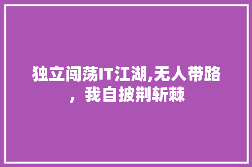 独立闯荡IT江湖,无人带路，我自披荆斩棘