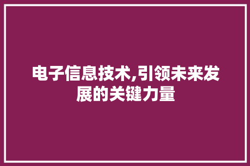电子信息技术,引领未来发展的关键力量