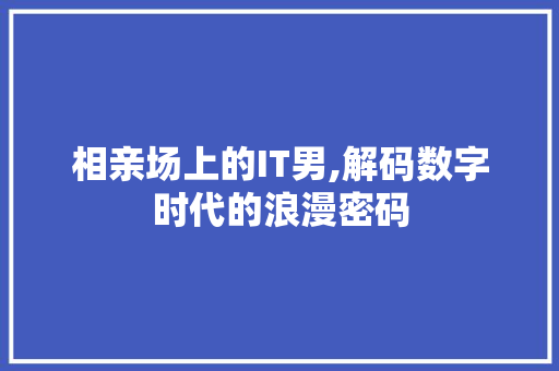 相亲场上的IT男,解码数字时代的浪漫密码