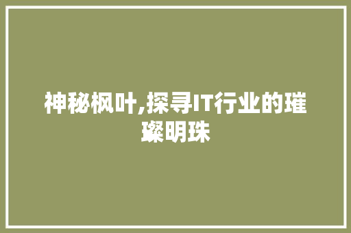 神秘枫叶,探寻IT行业的璀璨明珠
