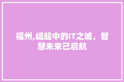 福州,崛起中的IT之城，智慧未来已启航