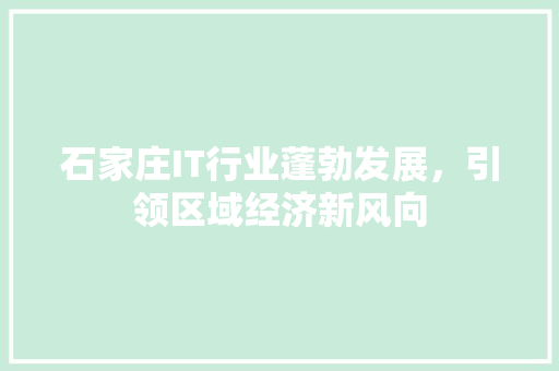 石家庄IT行业蓬勃发展，引领区域经济新风向