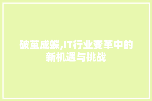 破茧成蝶,IT行业变革中的新机遇与挑战