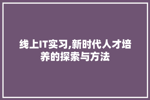 线上IT实习,新时代人才培养的探索与方法 神马SEO