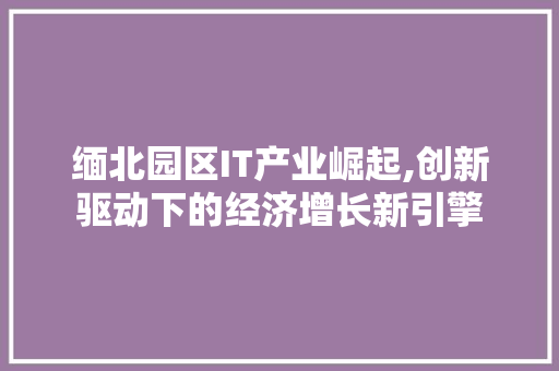 缅北园区IT产业崛起,创新驱动下的经济增长新引擎 网站建设公司