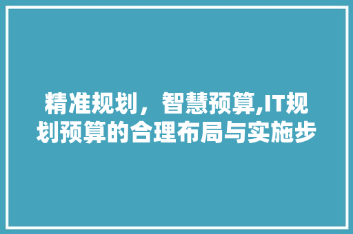 精准规划，智慧预算,IT规划预算的合理布局与实施步骤 网站建设公司
