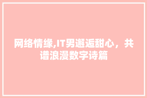 网络情缘,IT男邂逅甜心，共谱浪漫数字诗篇
