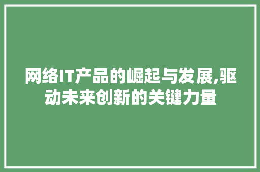 网络IT产品的崛起与发展,驱动未来创新的关键力量 必应SEO