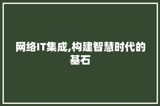 网络IT集成,构建智慧时代的基石 神马SEO