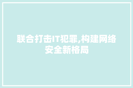 联合打击IT犯罪,构建网络安全新格局