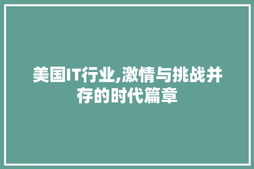 美国IT行业,激情与挑战并存的时代篇章