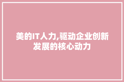 美的IT人力,驱动企业创新发展的核心动力