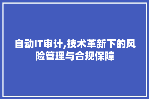 自动IT审计,技术革新下的风险管理与合规保障 搜狗SEO