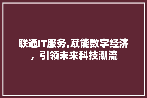 联通IT服务,赋能数字经济，引领未来科技潮流 神马SEO