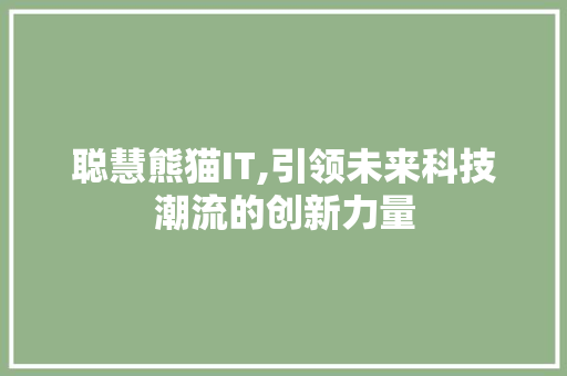 聪慧熊猫IT,引领未来科技潮流的创新力量