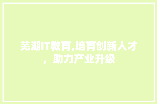 芜湖IT教育,培育创新人才，助力产业升级