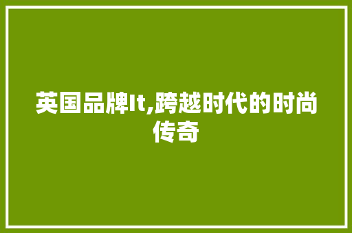 英国品牌It,跨越时代的时尚传奇 网站建设公司