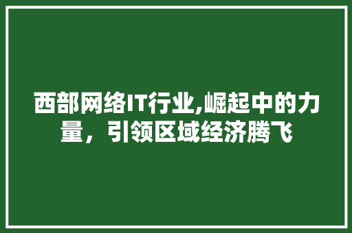 西部网络IT行业,崛起中的力量，引领区域经济腾飞