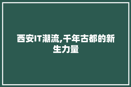 西安IT潮流,千年古都的新生力量 搜狗SEO
